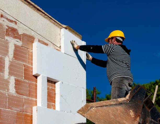 Best Home Insulation Services  in Baraga, MI