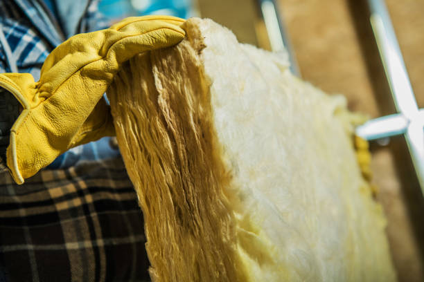 Best Best Insulation Companies  in Baraga, MI