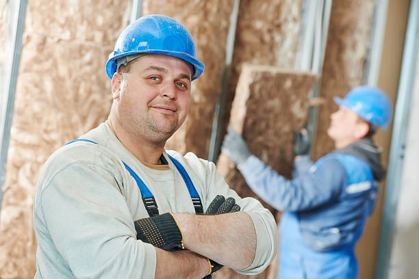 Best Insulation for New Construction  in Baraga, MI